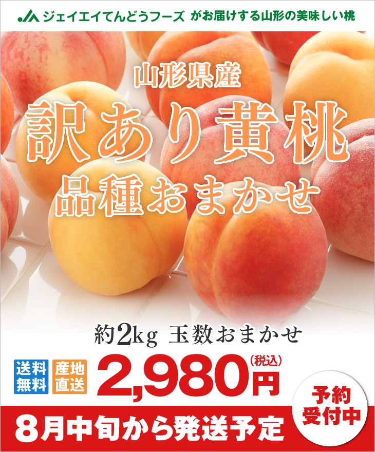 訳あり黄桃 品種おまかせ