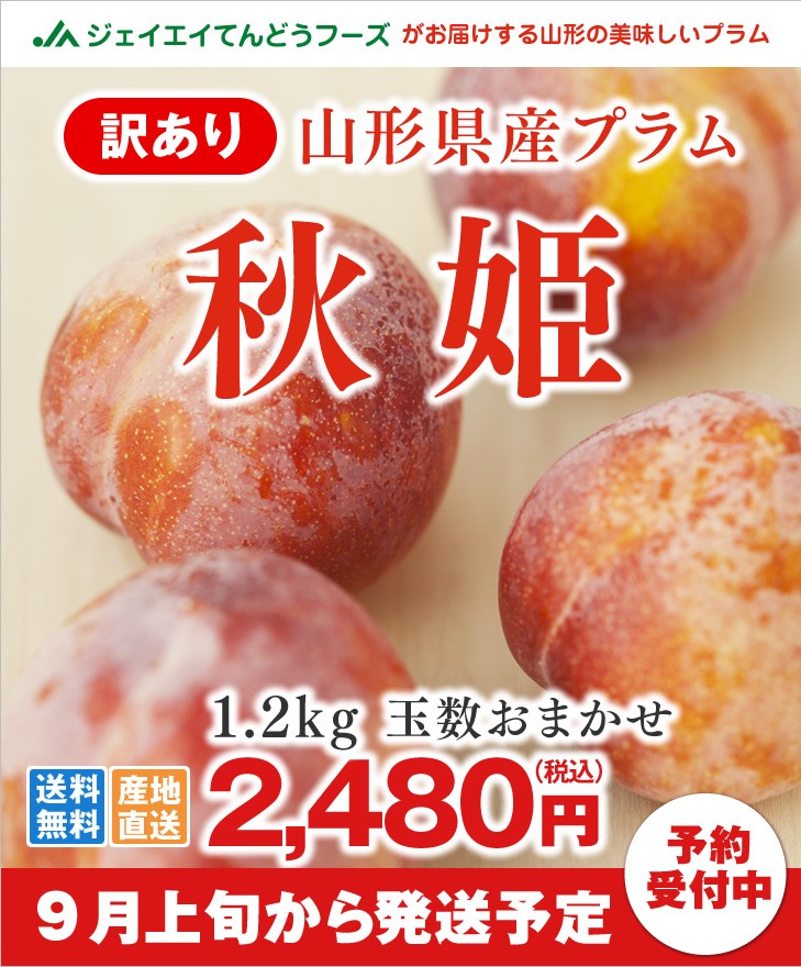 訳あり 山形県産品種おまかせプラムすもも | 大石早生、ソルダム、太陽、紅りょうぜん、秋姫のいずれか