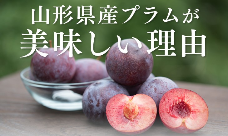 山形県産プラムが美味しい理由