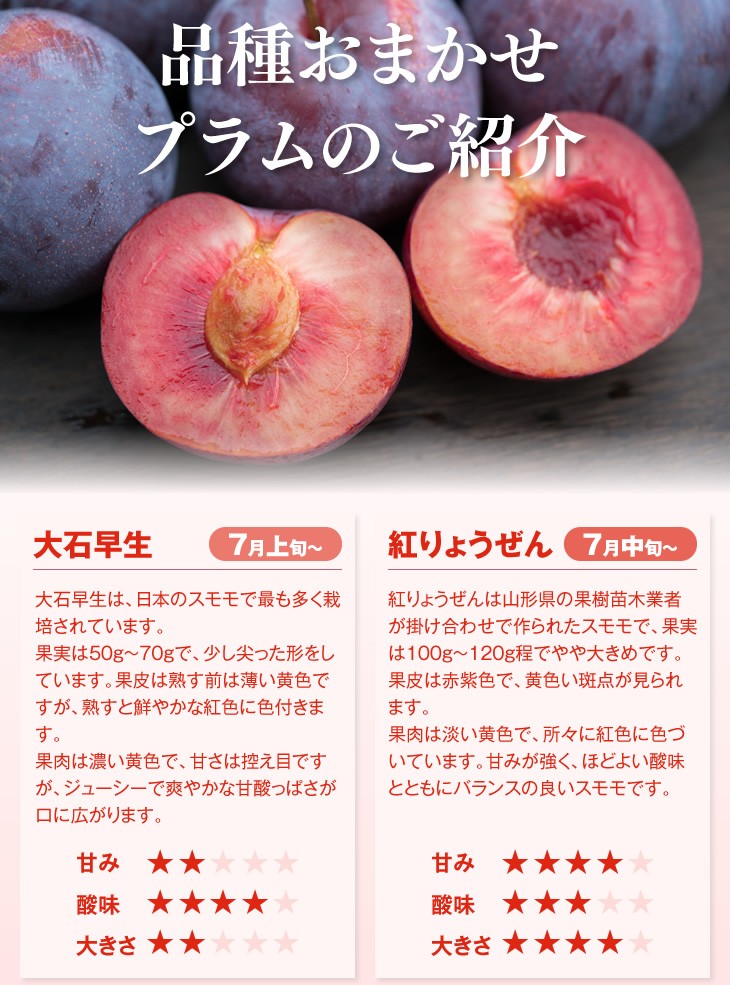 品種おまかせプラム・すもものご紹介 | 大石早生 大石早生は、日本のスモモで最も多く栽培されています。果実は50g〜70gで、少し尖った形をしています。果皮は熟す前は薄い黄色ですが、熟すと鮮やかな紅色に色付きます。果肉は濃い黄色で、甘さは控え目ですが、ジューシーで爽やかな甘酸っぱさが口に広がります。紅りょうぜん 紅りょうぜんは山形県の果樹苗木業者が掛け合わせで作られたスモモで、果実は100g〜120g程でやや大きめです。果皮は赤紫色で、黄色い斑点が見られます。果肉は淡い黄色で、所々に紅色に色づいています。甘みが強く、ほどよい酸味とともにバランスの良いスモモです。