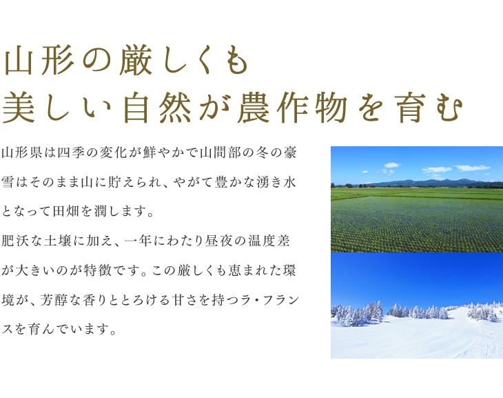 山形の厳しくも美しい自然が農作物を育む | 山形県は四季の変化が鮮やかで山間部の冬の豪雪はそのまま山に貯えられ、やがて豊かな湧き水となって田畑を潤します。肥沃な土壌に加え、一年にわたり昼夜の温度差が大きいのが特徴です。この厳しくも恵まれた環境が、芳醇な香りととろける甘さを持つラ・フランスを育んでいます。