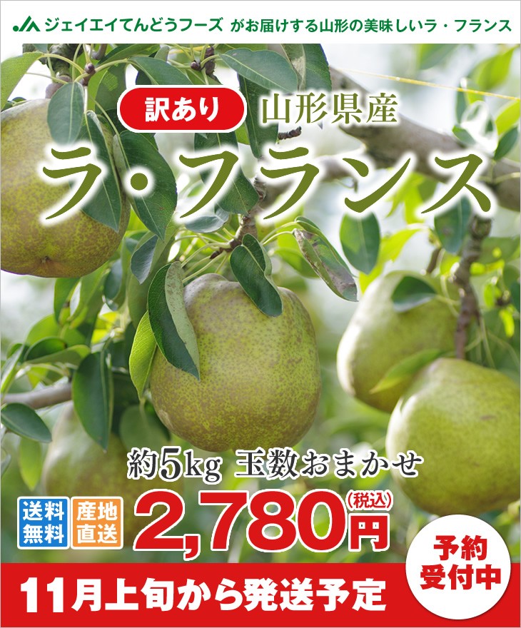訳あり山形県産ラ・フランス5kg