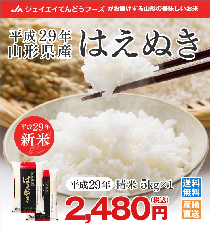 平成29年山形県産はえぬき精米5kg×1