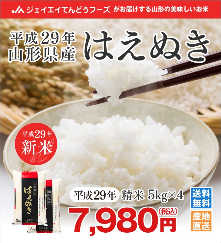 はえぬき お米 20kg (5kg×4袋) 山形県産 令和7年産 精米 お米 rhn2007