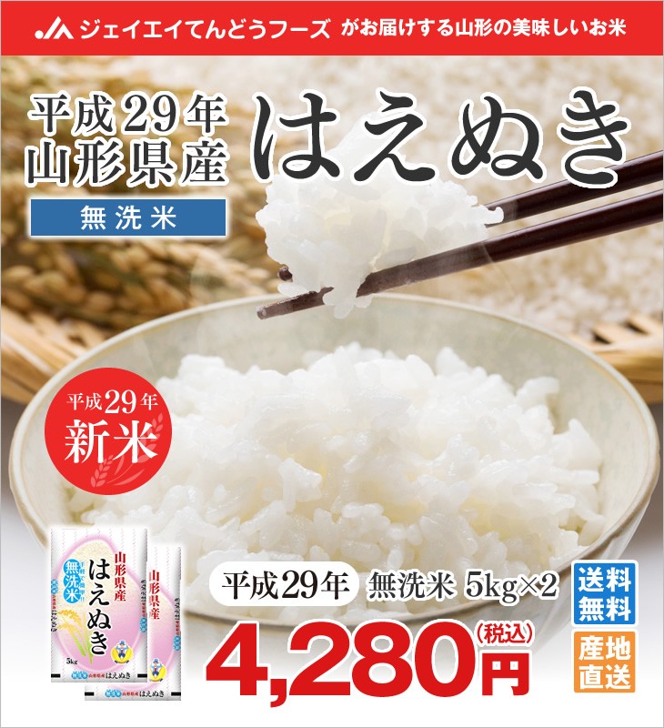 平成29年山形県産はえぬき無洗米5kg×2
