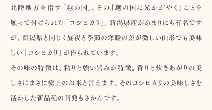 北陸地方を指す「越の国」、その「越の国に光かがやく」ことを願って付けられた「コシヒカリ」。新潟県産があまりにも有名ですが、新潟県と同じく昼夜と季節の寒暖の差が激しい山形でも美味しい「コシヒカリ」が作られています。その味の特徴は、粘りと強い旨みが特徴。香りと炊きあがりの美しさはまさに極上のお米と言えます。そのコシヒカリの美味しさを活かした新品種の開発もさかんです。