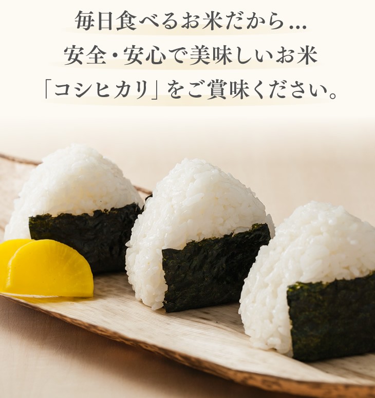 毎日食べるお米だから...安全・安心で美味しいお米「コシヒカリ」をご賞味ください。