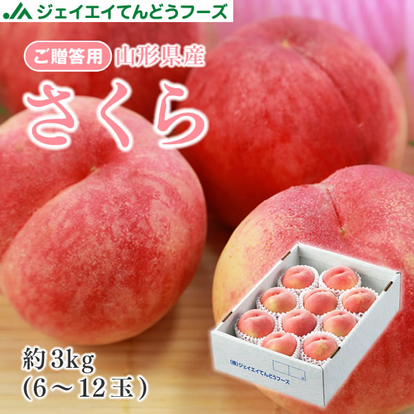 食品 桃 さくら白桃 贈答用 3kg