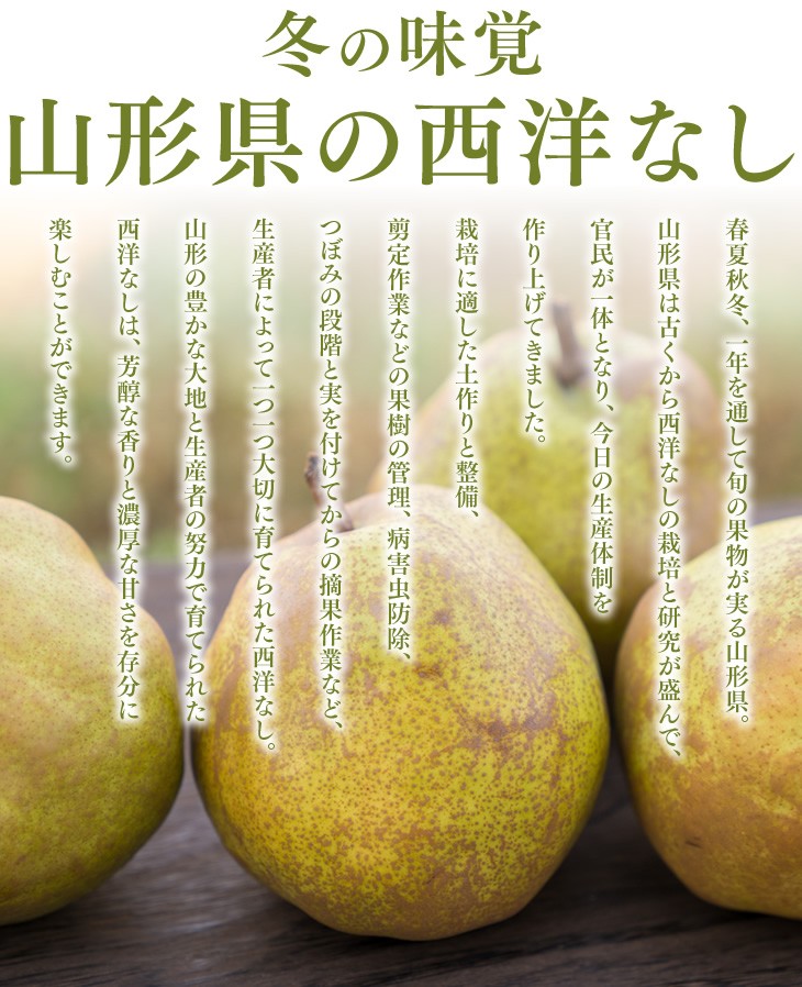 冬の味覚山形県のラ・フランス | 春夏秋冬、一年を通して旬の果物が実る山形県。山形県は古くからラ・フランスの栽培と研究が盛んで、生産者と研究者が一体となり、今日の生産体制を作り上げてきました。栽培に適した土作りと整備、剪定作業などの果樹の管理、病害虫防除、つぼみの段階と実を付けてからの整理など、生産者によって一つ一つ大切に育てられたラ・フランス。山形の豊かな大地と生産者の努力で育てられたラ・フランスは、芳醇な香りと濃厚な甘さを存分に楽しむことができます。