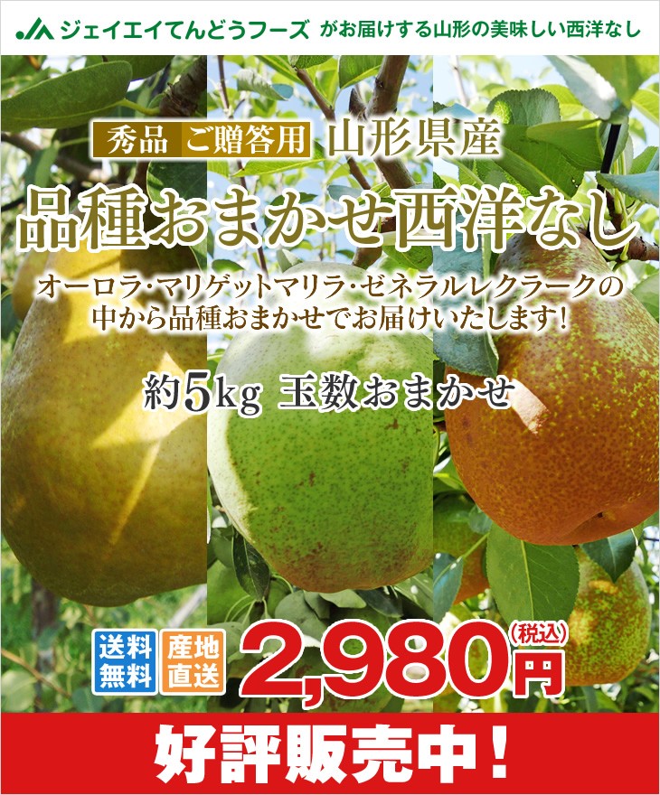 訳あり 山形県産西洋なし 品種おまかせ西洋なし3kg(オーロラ、マルゲリット・マリーラ、ゼネラル・ルクラーク)