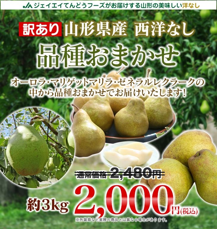 訳あり 山形県産西洋なし 品種おまかせ西洋なし3kg(オーロラ、マルゲリット・マリーラ、ゼネラル・ルクラーク)