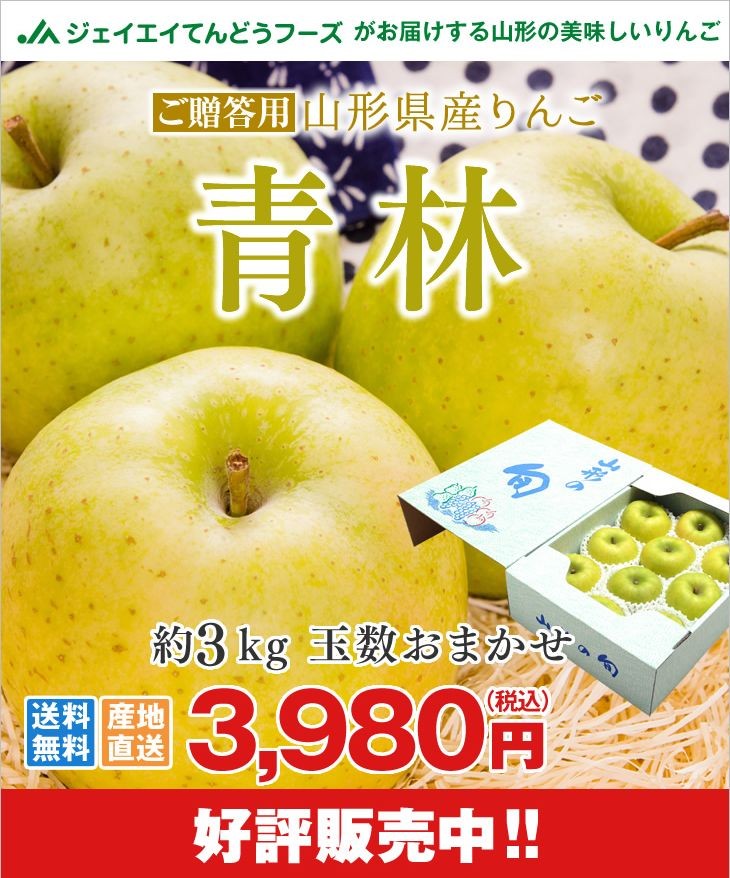 贈答用 山形県産 『青林』 りんご 約3kg ＼濃厚な甘み・上品な風味／ 秀品 ギフト ap40 :seirin:JAてんどうフーズ うまいもの通販  通販 