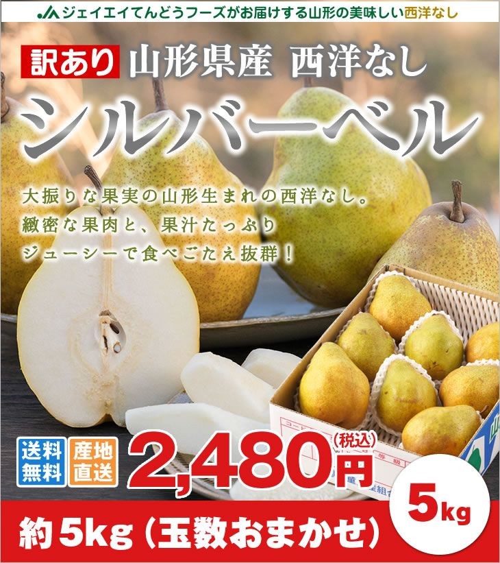 訳あり シルバーベル5kg