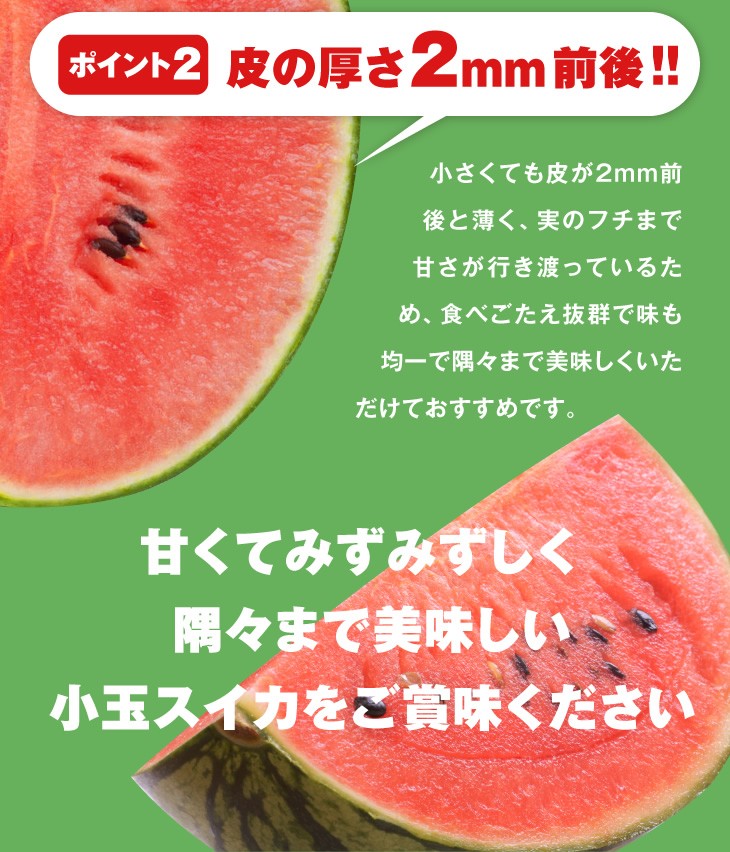 皮の厚さ2mm前後!! | 小さくても皮が2mm前後と薄く、実のフチまで甘さが行き渡っているため、食べごたえ抜群で味も均一で隅々まで美味しくいただけておすすめです。甘くてみずみずしく隅々まで美味しい小玉スイカをご賞味ください
