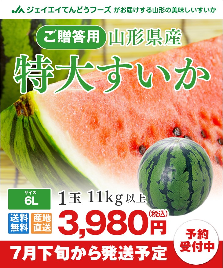 山形県産大玉すいか 約11kg 1玉