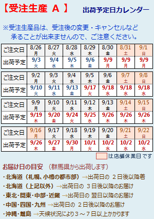 レースカーテン ミラー 2枚組 2倍ヒダ 防炎加工 4090-21オフホワイト 幅100×丈176cm 2枚組 幅100センチ 受注生産A｜tengoku｜02