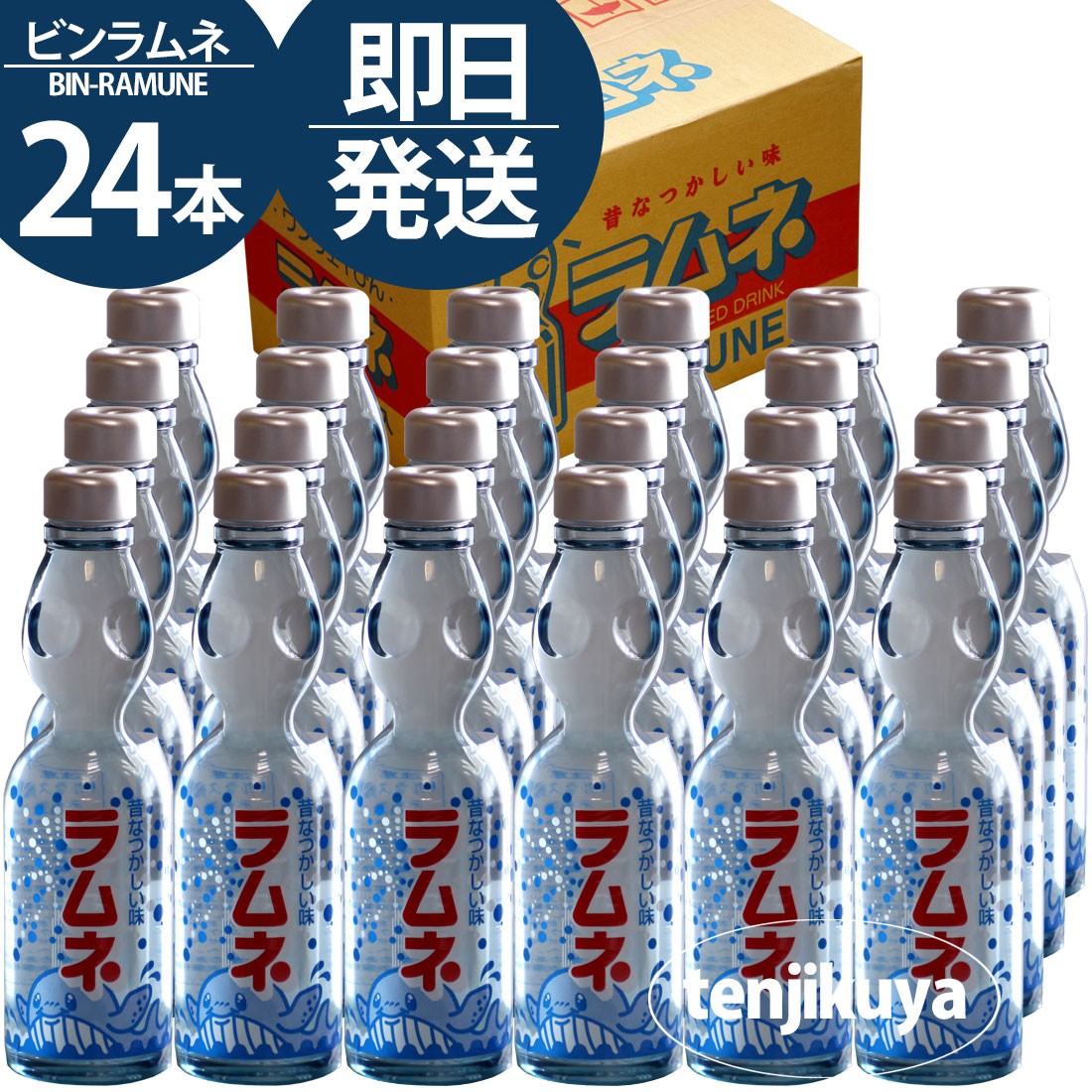 bin-ram_001_1100_1100aaaaa.jpg