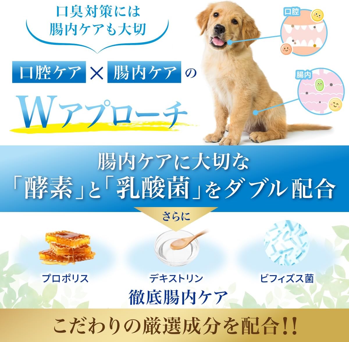 このこのは　犬用口腔ジェル　4個 Amazon.co.jp: このこのは 犬用 歯磨きジェル 30g約1ヵ月分 [ 犬