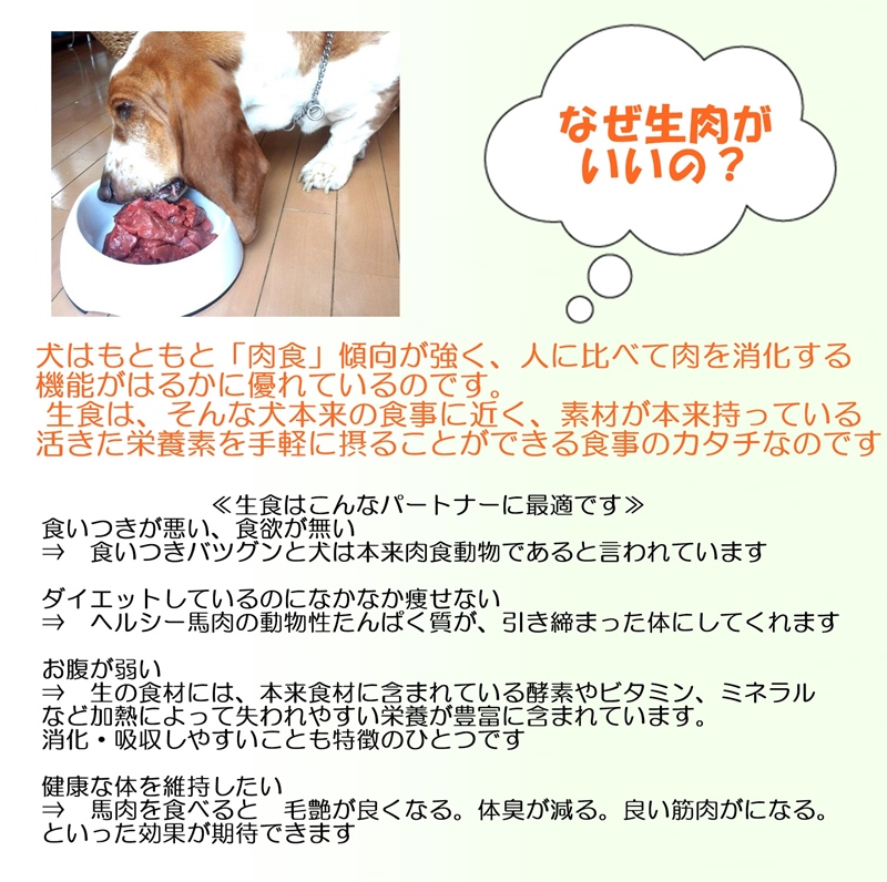 サンプル