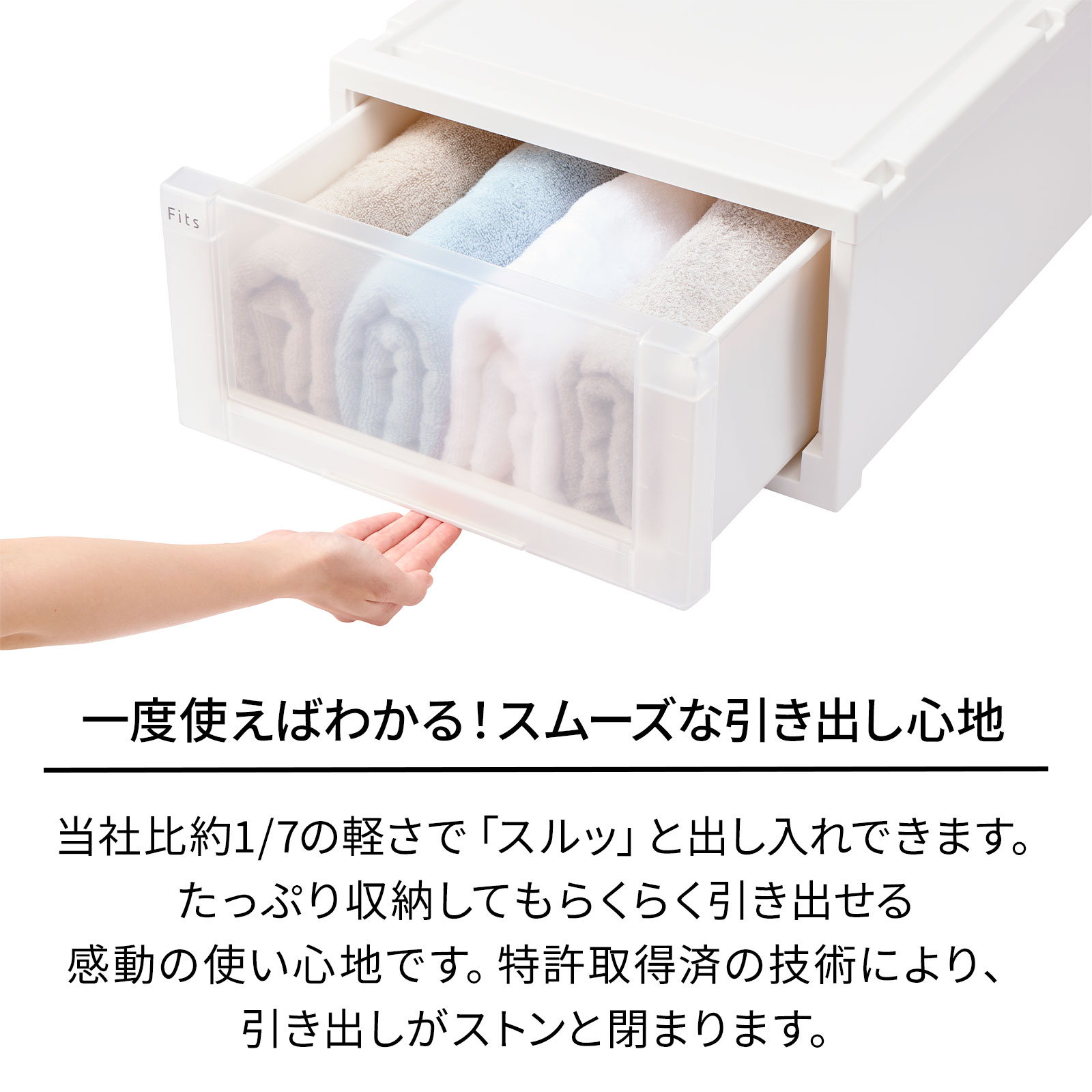 天馬 収納ケース 衣装ケース フィッツケース アドバンス 74-44L