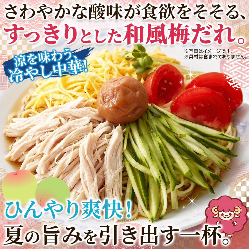 うめねぇちゃん 5食セット スープ付 冷やし中華 もちもち 本格 生麺