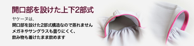 ヤケーヌ特徴1