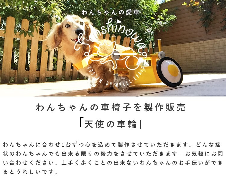 ワンちゃんの愛車 天使の車輪 - Yahoo!ショッピング