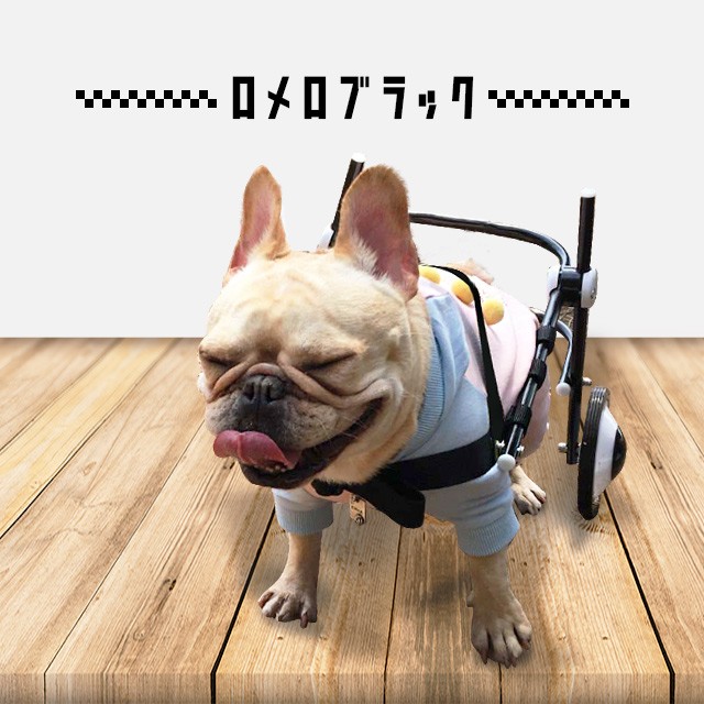 犬の車椅子 Sサイズ ブルー 介護 後脚サポート車椅子 車いす 犬用