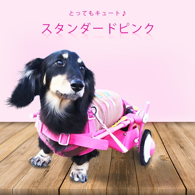 犬の車椅子 Mサイズ ブラック 介護 後脚サポート車椅子 犬用 車いす コーギー フレブル　