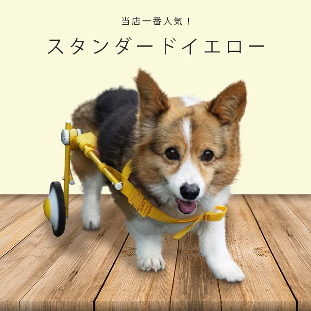 犬の車椅子 Mサイズ イエロー 犬用 車いす 介護 後脚サポート車椅子