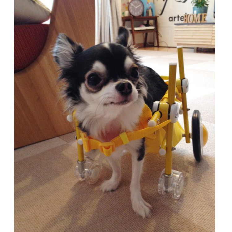 オプション 前輪 本体別　犬の車椅子用　4輪車椅子　足に力の無いワンちゃんへ