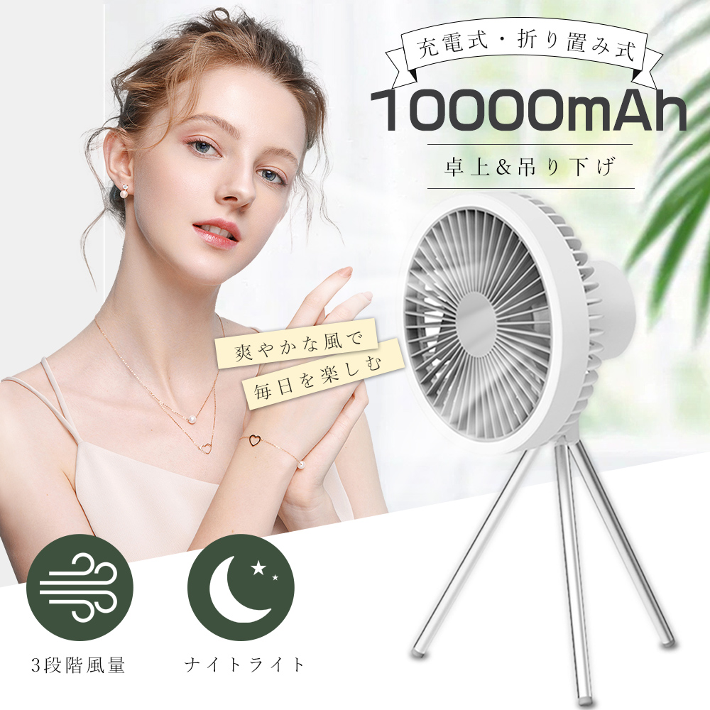 1electricfan26w02.jpg