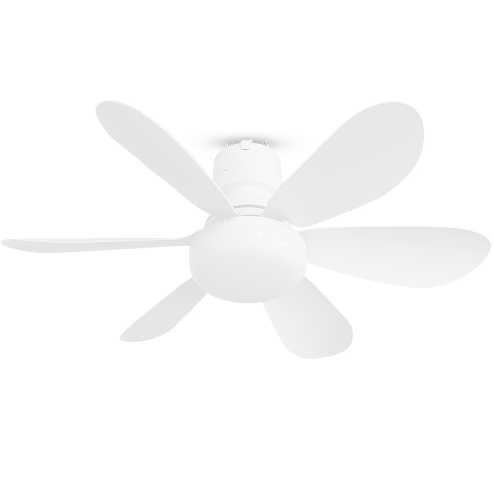 2026新登場 Alexa対応 シーリングファンライト 6畳 8畳 ファン付き