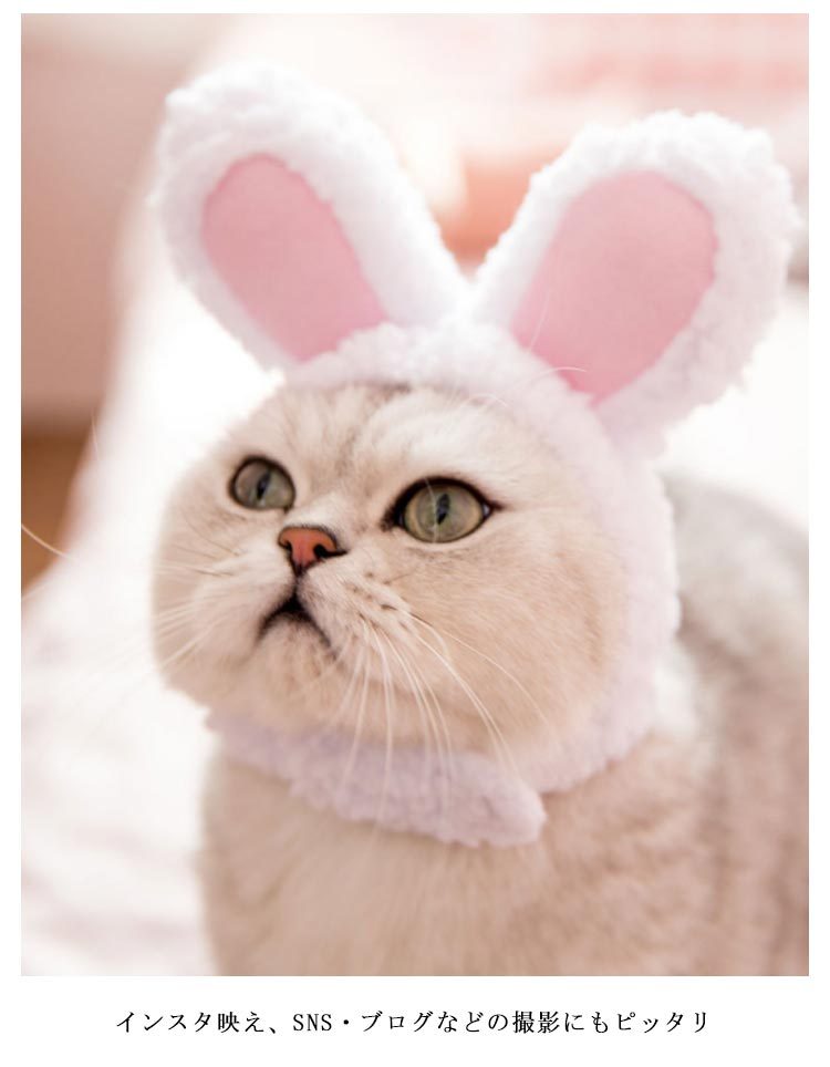 市場 人気♥白ペット用うさ耳ニット帽子ねこのかぶりもの 猫用小型犬用コスプレうさぎ