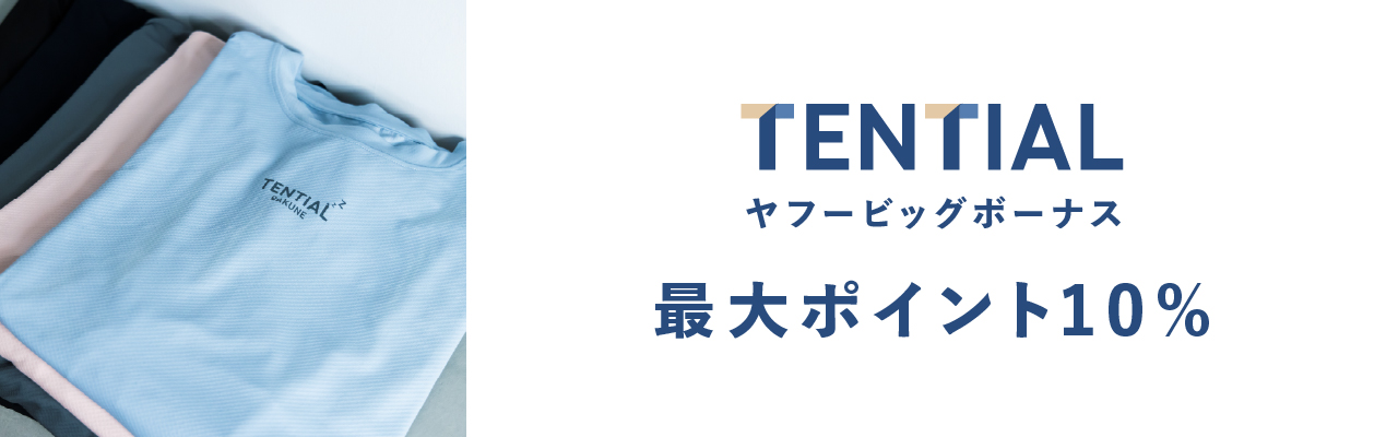 ビッグボーナス