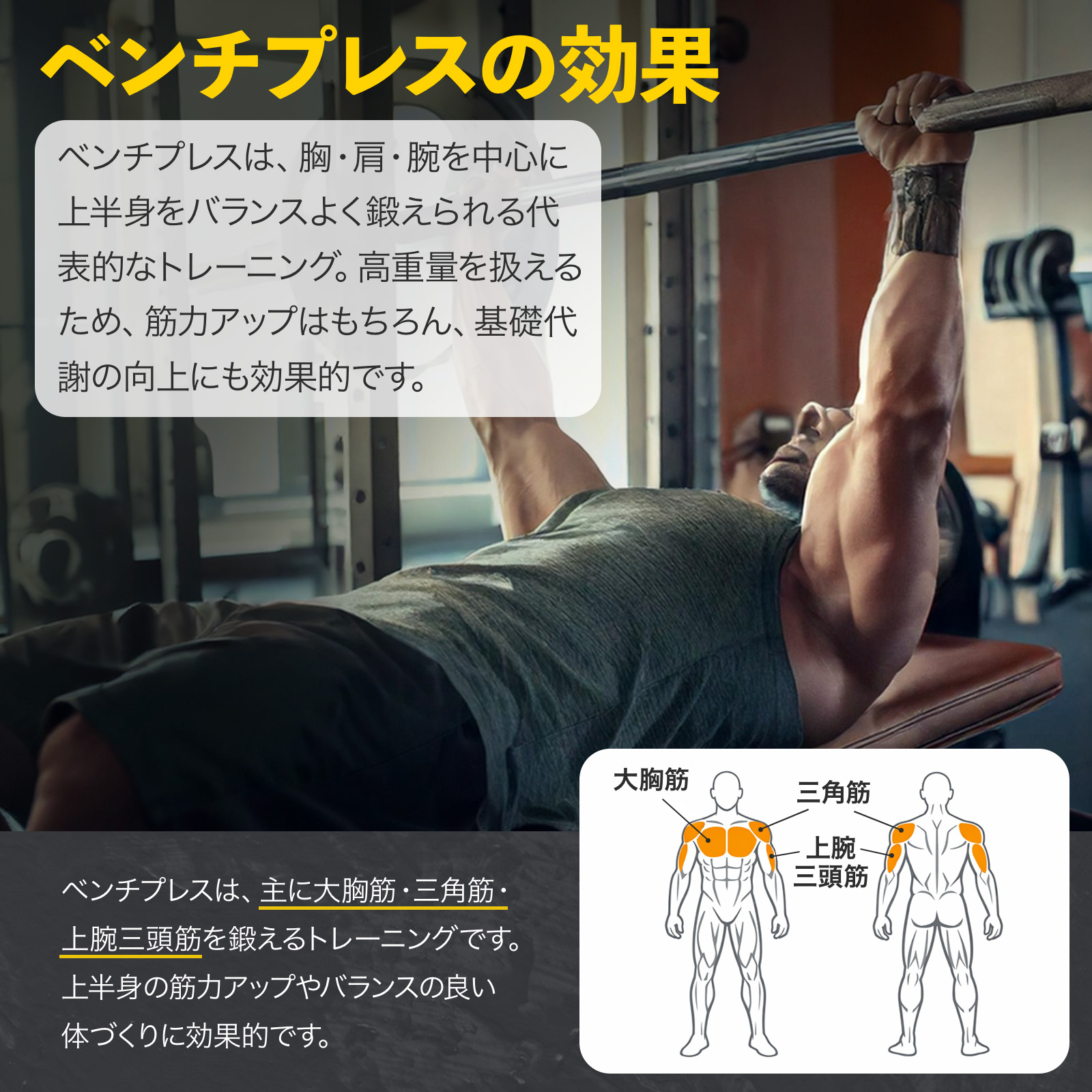 ヤマダモール | バーベルスタンド ベンチプレス台 バーベル台 ベンチ台