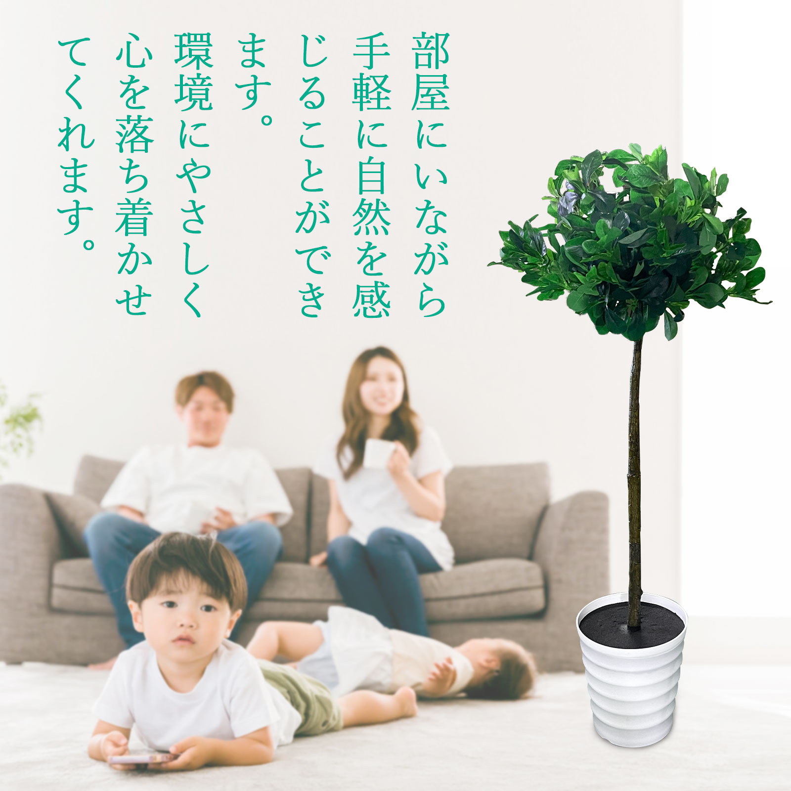 部屋にいながら自然を感じる