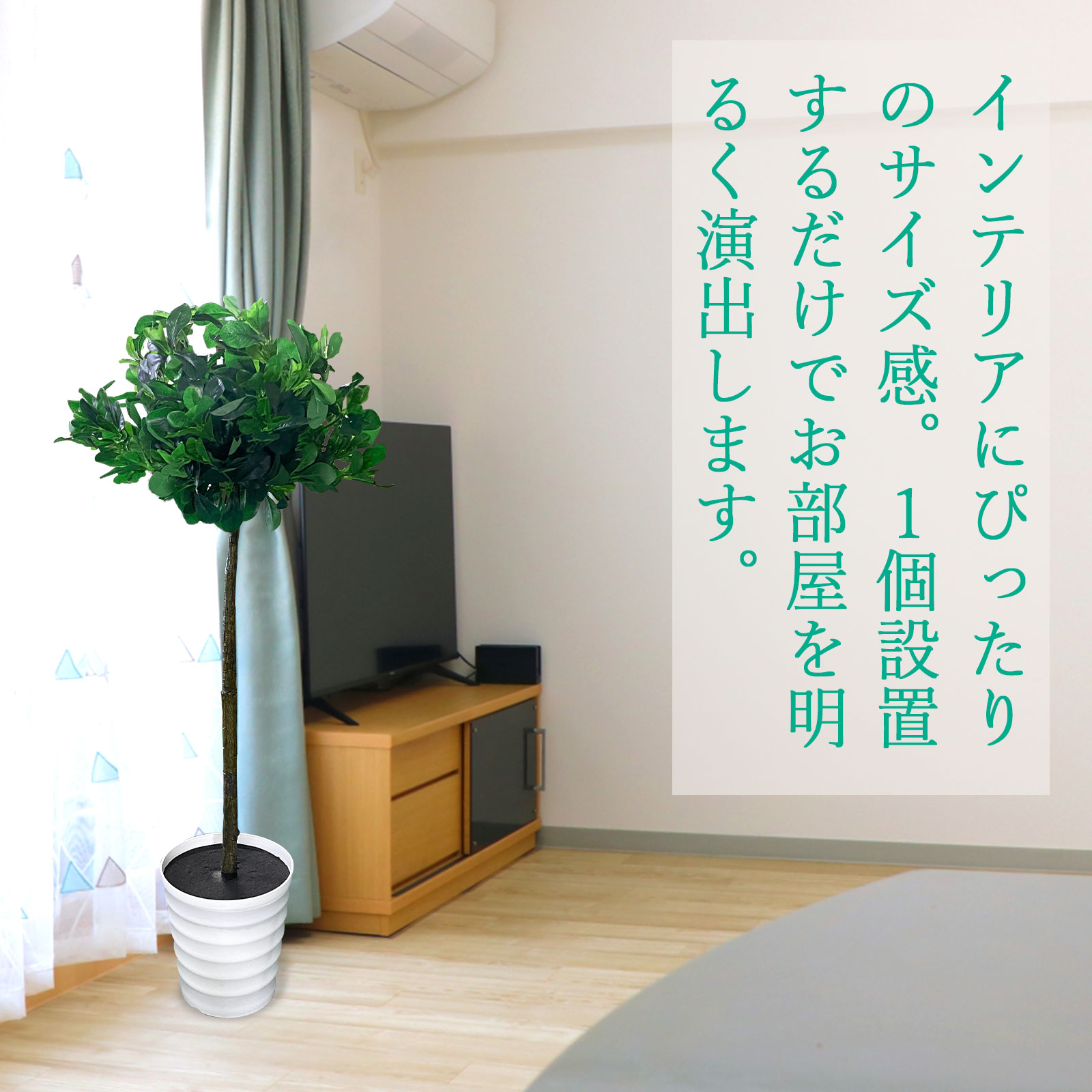 インテリアにぴったりのサイズ感