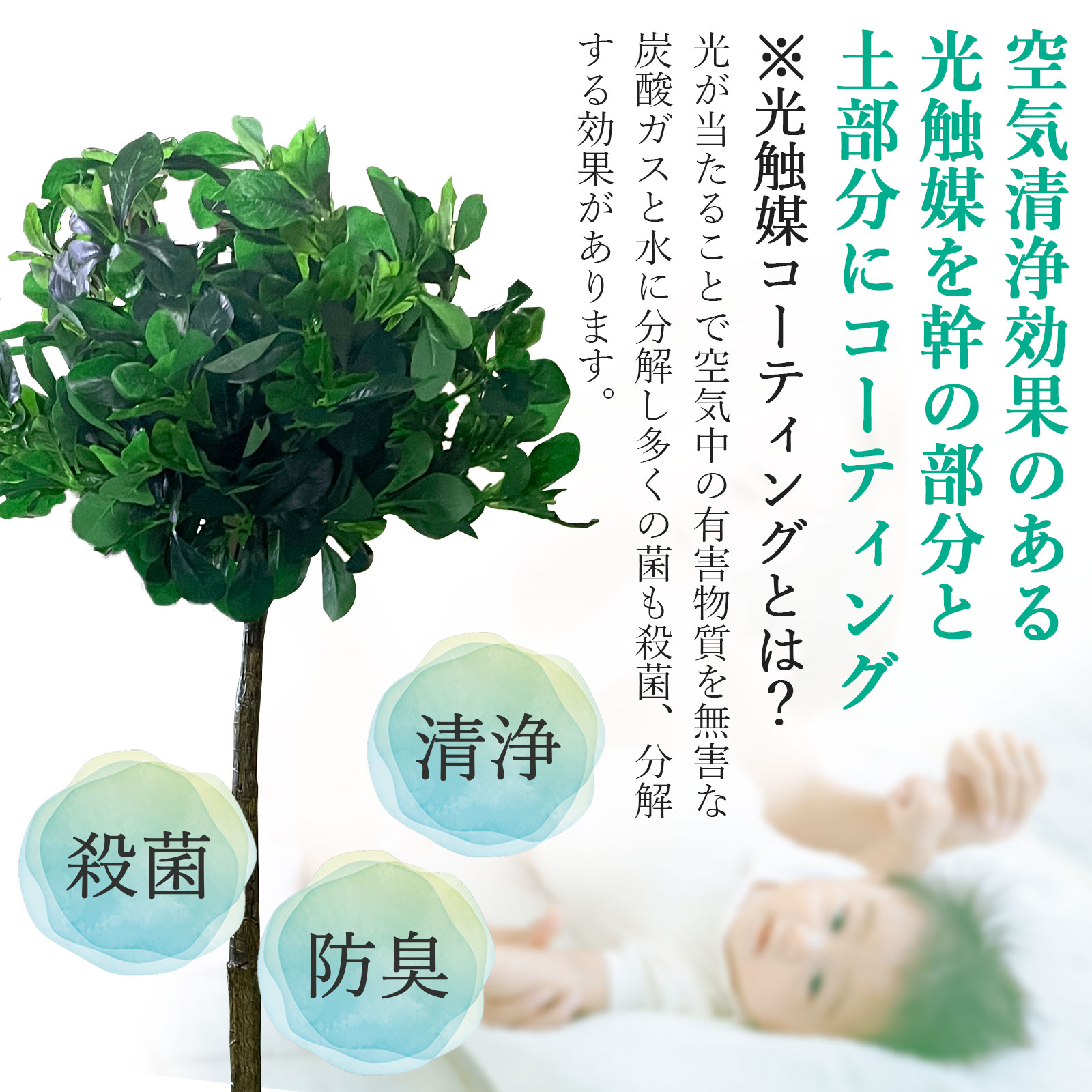 空気清浄効果のある光触媒をコーティング