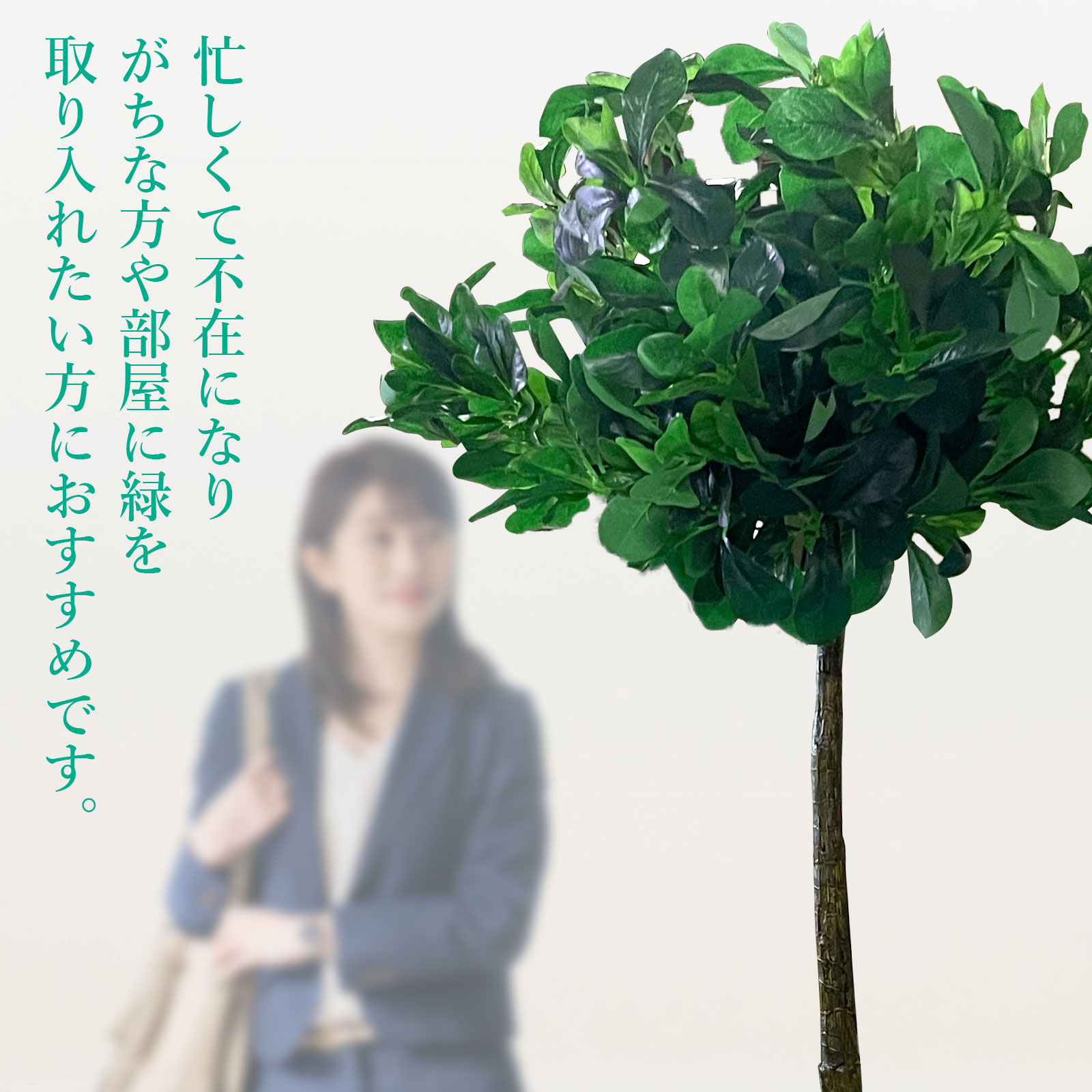 忙しい人にも