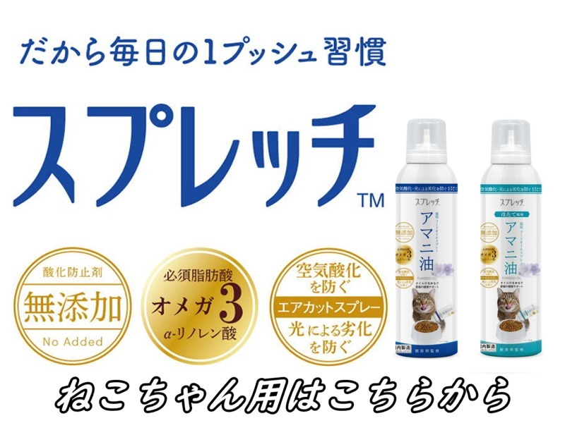 ルミカ猫
