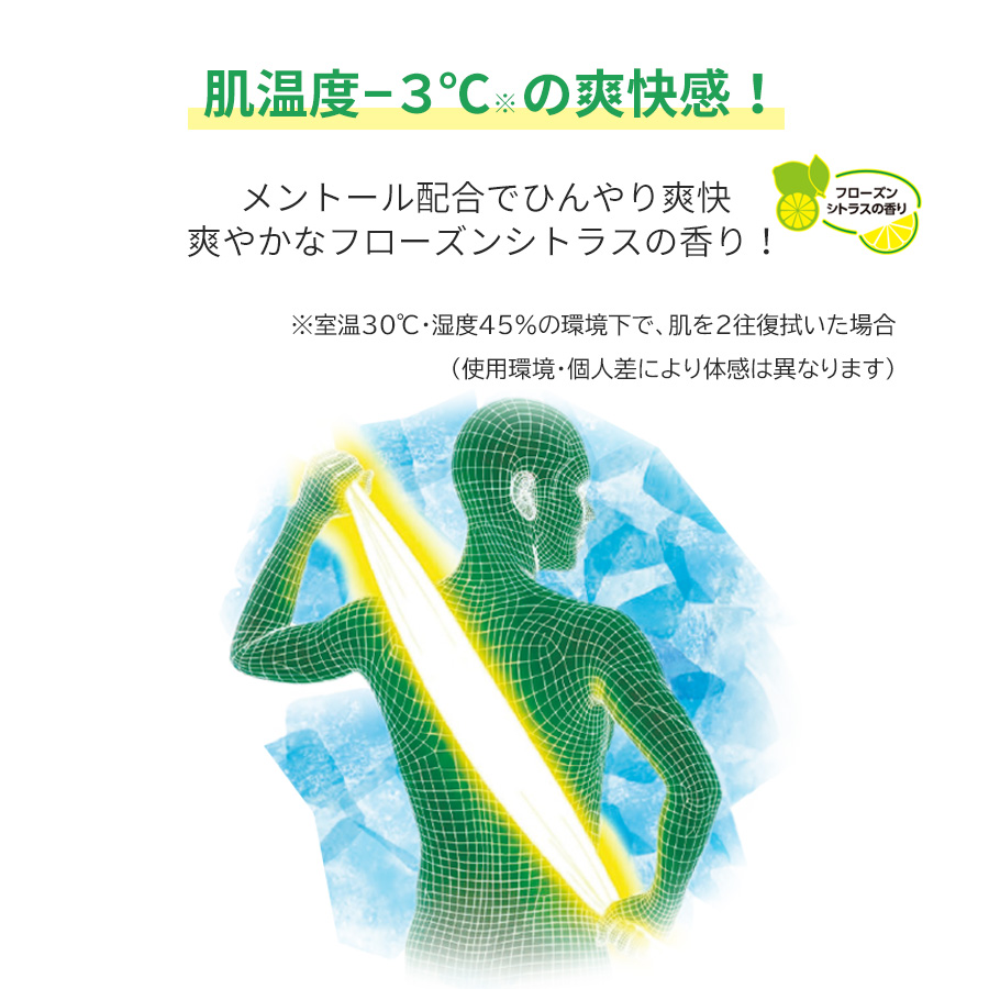 テラモト公式 ボディシート 個包装 30枚×12パック 大判 ウェット