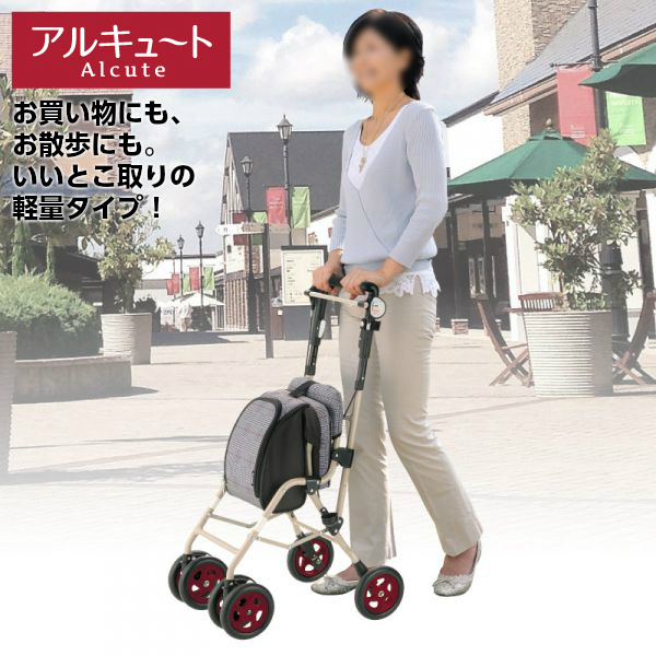 リッチェル (N)リッチェル アルキュート CP-G シルバーカー