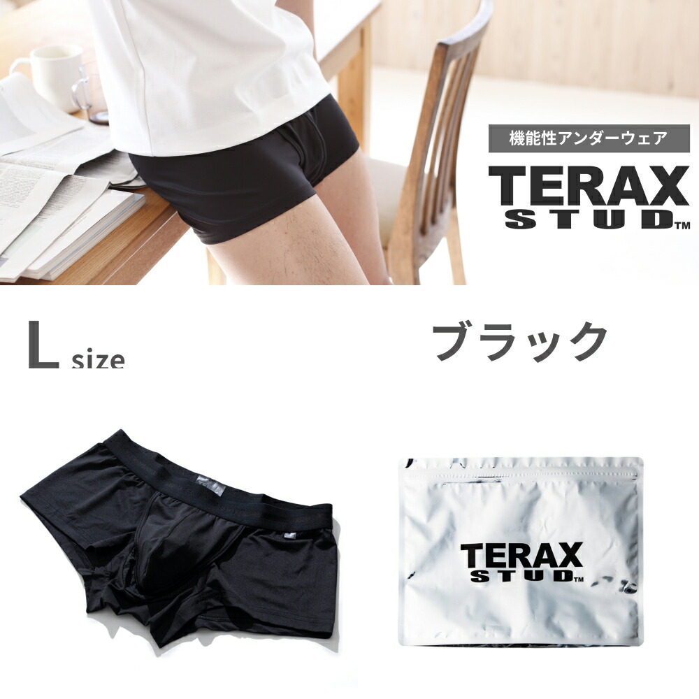 TERAX CARETECT（テラックス ケアテクト） 【Begin 掲載】 TERAX STUD
