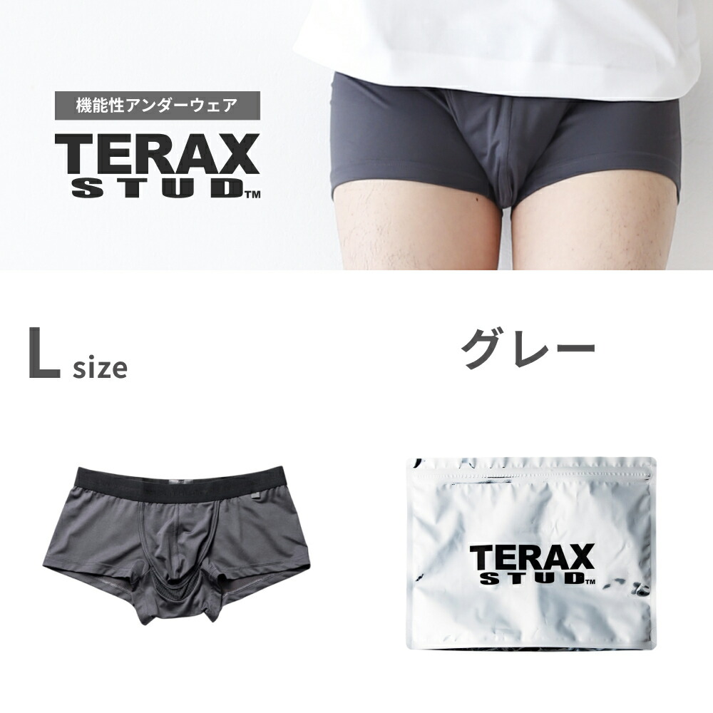 TERAX CARETECT（テラックス ケアテクト） 【Begin 掲載】 TERAX STUD