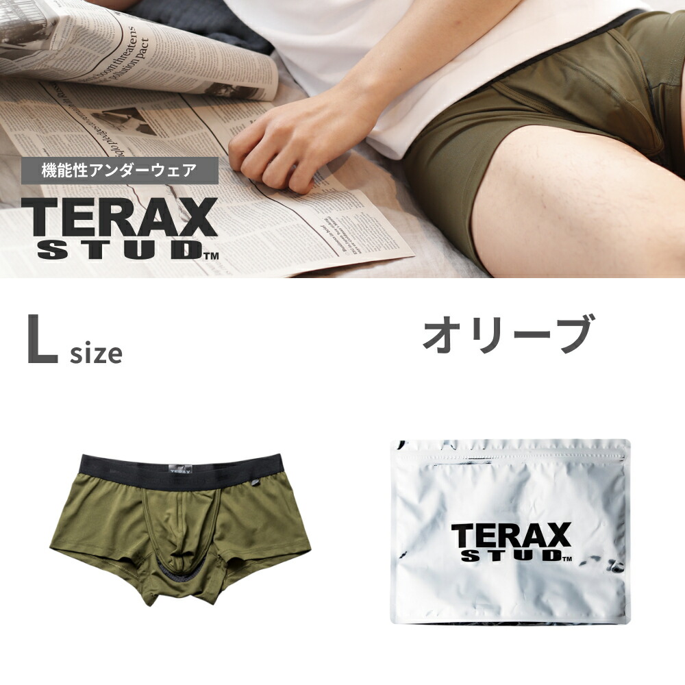 TERAX CARETECT（テラックス ケアテクト） 【Begin 掲載】 TERAX STUD