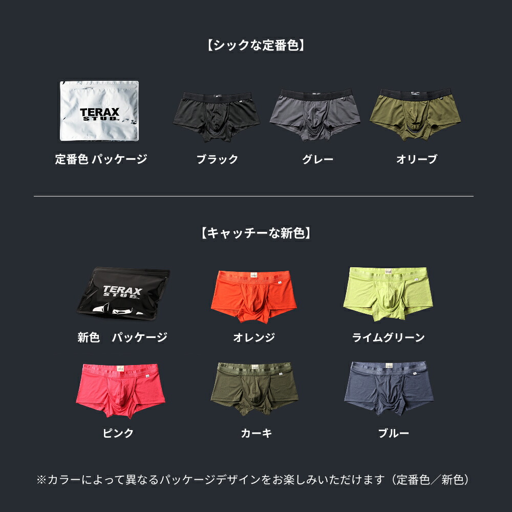 TERAX CARETECT（テラックス ケアテクト） 【Begin 掲載】 TERAX STUD