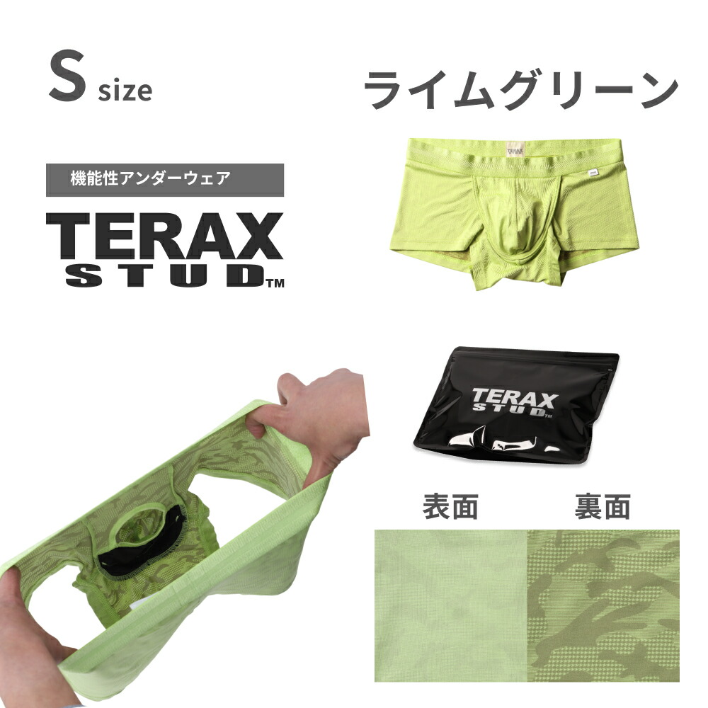 TERAX CARETECT（テラックス ケアテクト） 【Begin 掲載】 TERAX STUD