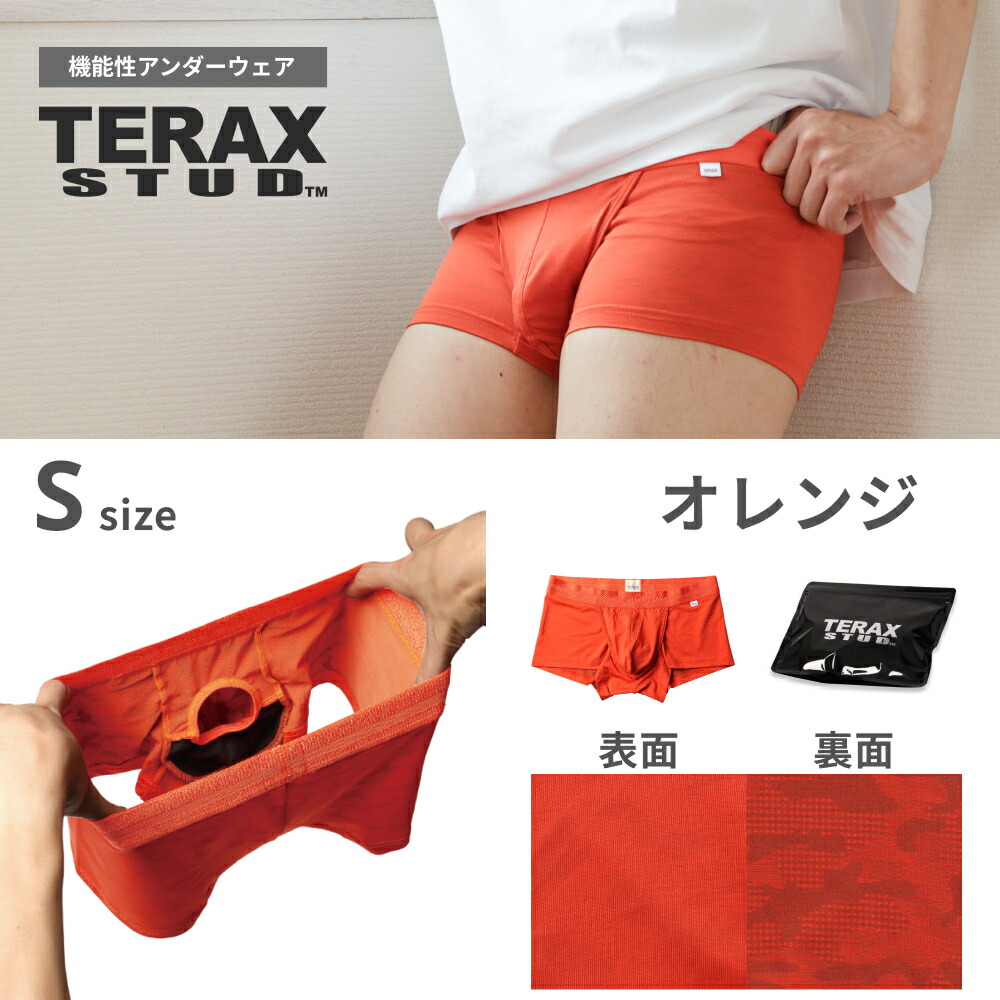 TERAX CARETECT INNER ヒップアップパンツ L TERAX CARETECT（テラックス ケアテクト） 【Begin 掲載】 TERAX STUD