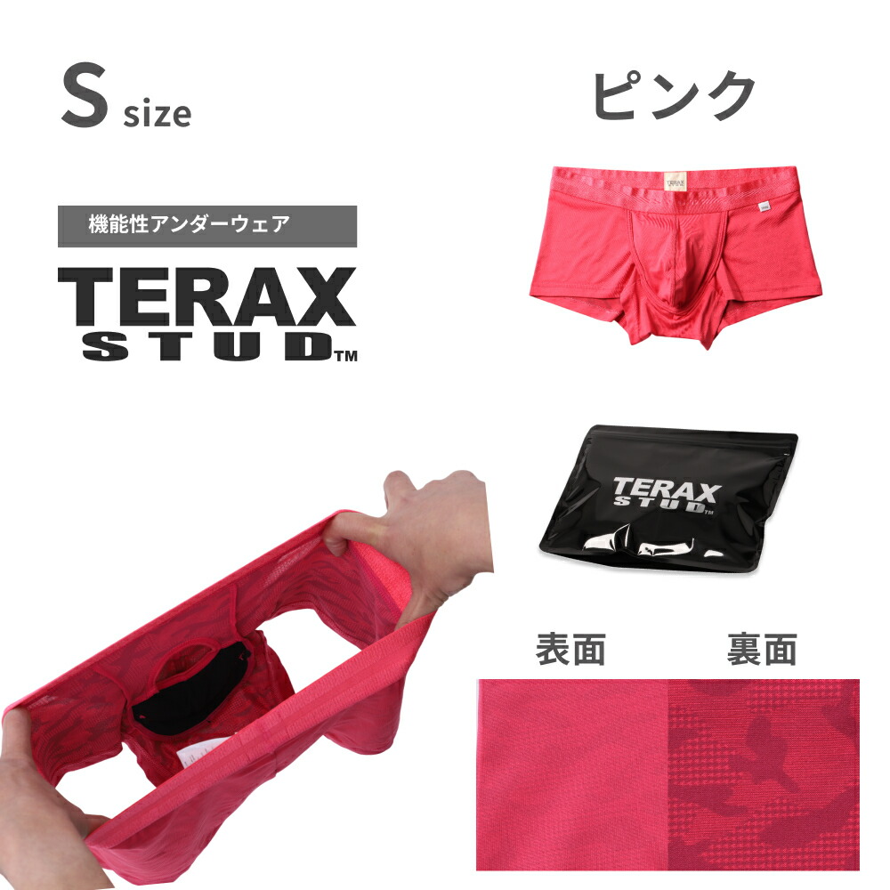 TERAX CARETECT（テラックス ケアテクト） 【Begin 掲載】 TERAX STUD